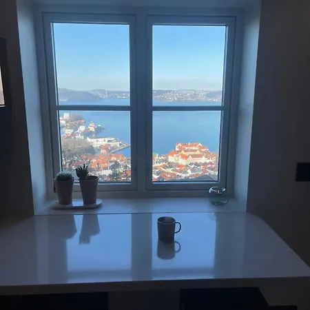 Unique With Fantastic Views Bergen